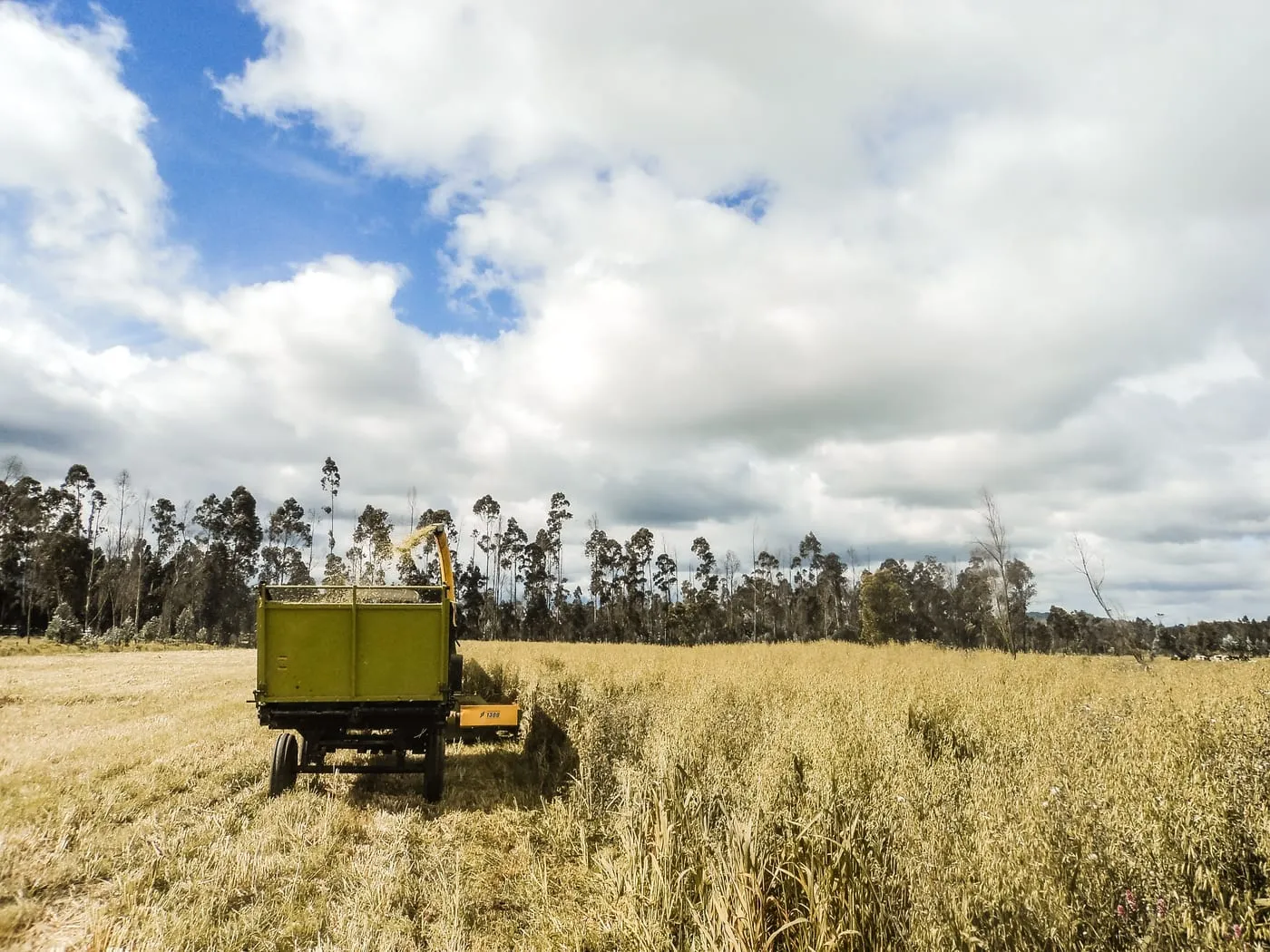 Remolque amarillo en un potrero de la finca, bajo un cielo con nubes